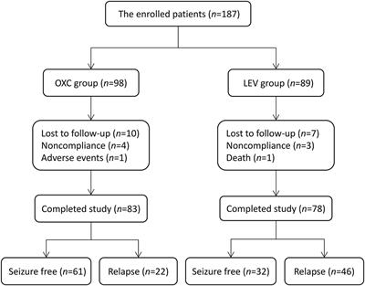 Effectiveness and Safety of Oxcarbazepine vs. Levetiracetam as Monotherapy for Infantile Focal Epilepsy: A Longitudinal Cohort Study